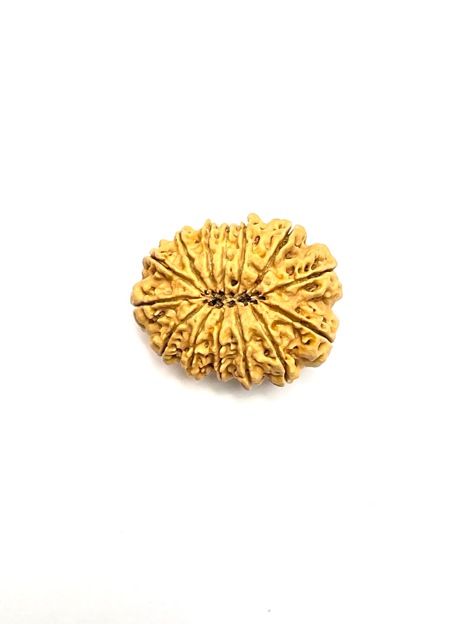 Oocha Mani - Custom Jyotish Gemstone Jewelry