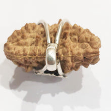 Load image into Gallery viewer, Ek Mukhi (South Indian) With .925 Silver Om Pendant