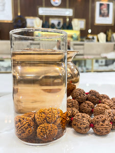 Water therapy with 5 Mukhi Rudraksha